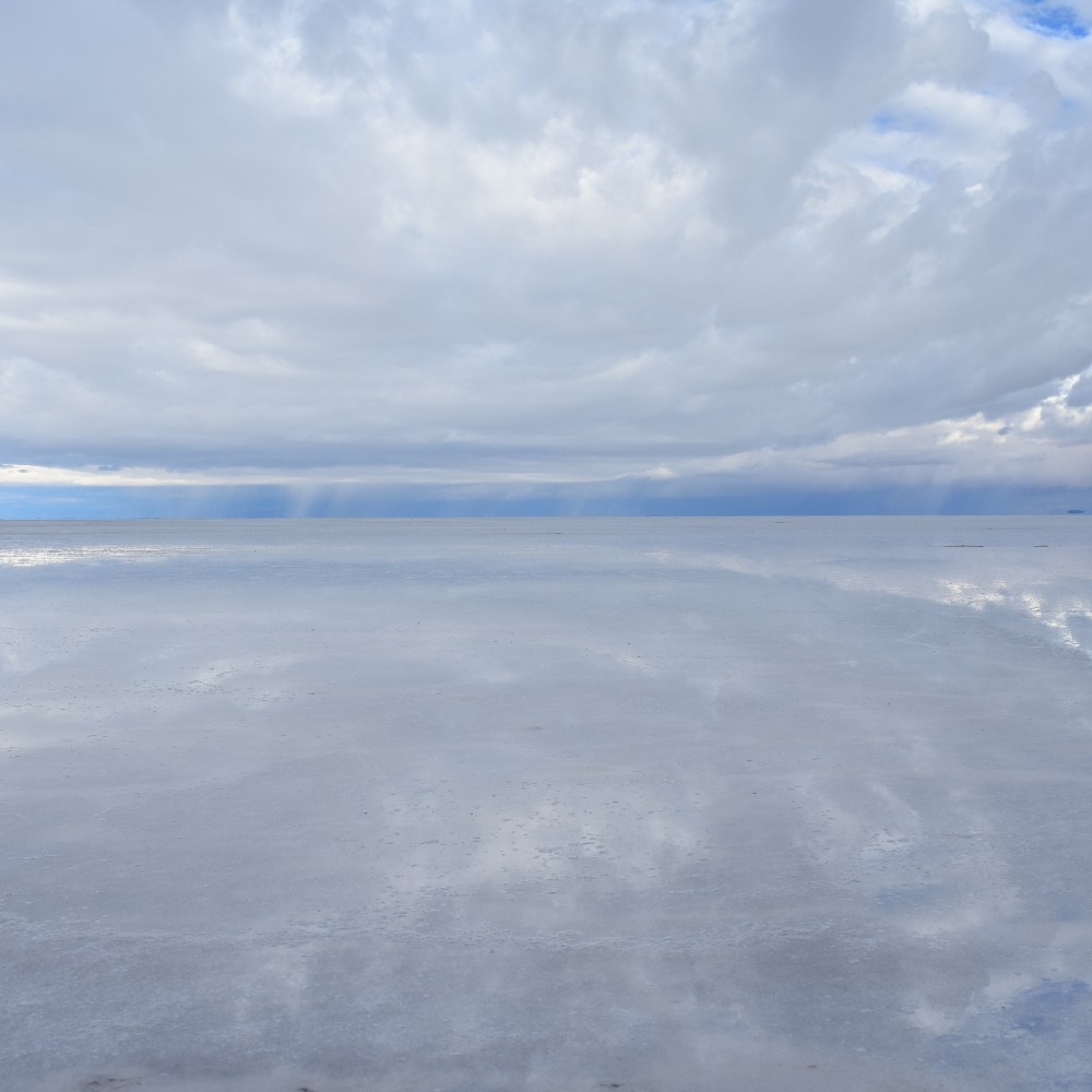 Meet your Posher, Holly